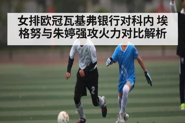 女排欧冠瓦基弗银行对科内 埃格努与朱婷强攻火力对比解析